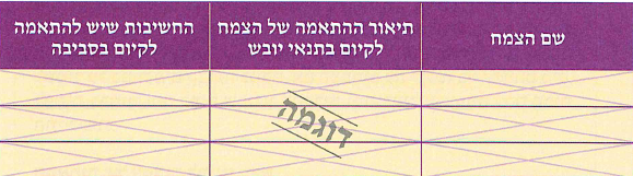 (בספר שלוש תמונות:)
